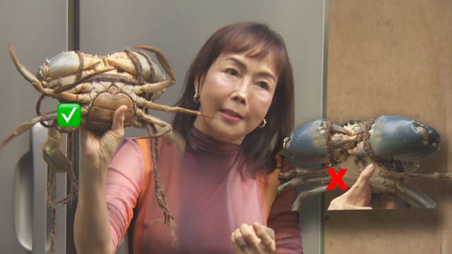 前线追踪 | 教你挑鲜甜螃蟹  避免手指被夹！