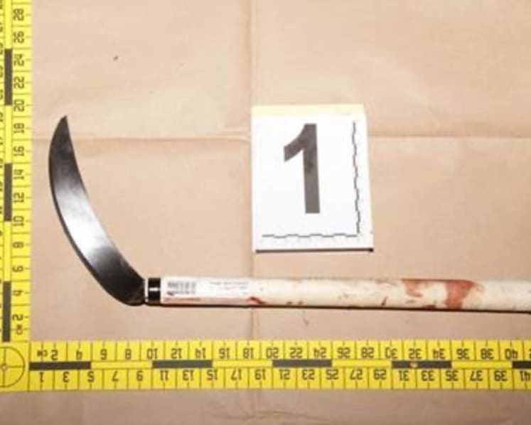 Man charged with using sickle to slash Certis officer on smoking enforcement duty