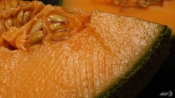 Related article image