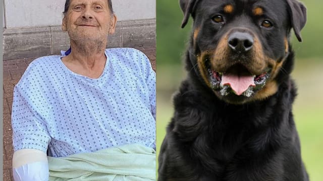 被两只凶犬攻击11分钟  英国老翁手臂及腿截肢