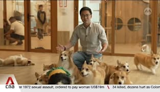 Thai pet food businesses eye higher sales amid global rise in dog and cat ownership