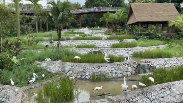 晨光|现场连线+：飞禽公园“鸟医院”设备齐全