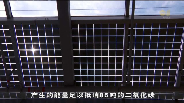 本地首座净零国际学校大楼 料节省多达60%能源