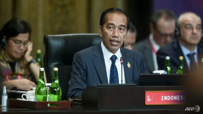 'We must not allow the world to fall into another Cold War': Indonesia's Jokowi at G20 summit 'We must not allow the world to fall into another Cold War': Indonesia's Jokowi at G20 summit