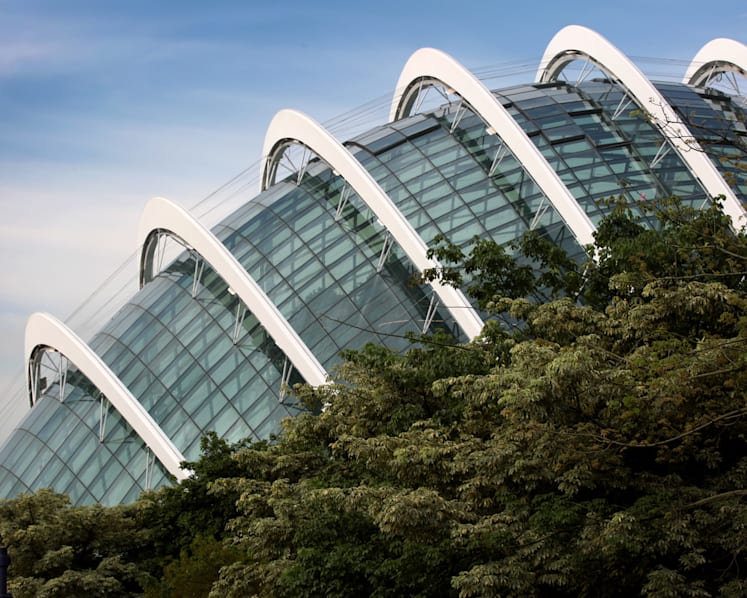 ICA Building, Flower Dome at Gardens by the Bay among places visited by Covid-19 cases while infectious