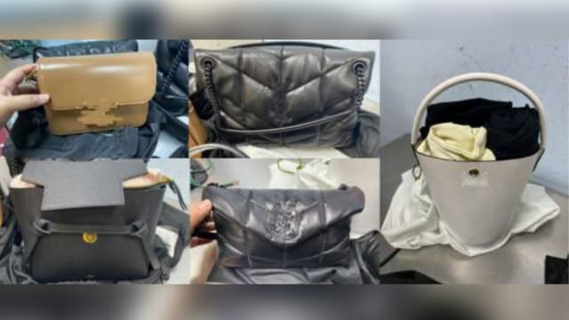 违规带名牌包包等 逾百人入境被发现未申报货品和缴税