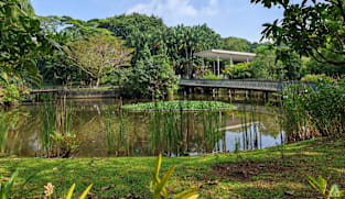 Parts of Sungei Buloh could flood by design under coastal protection plans for northwest Singapore