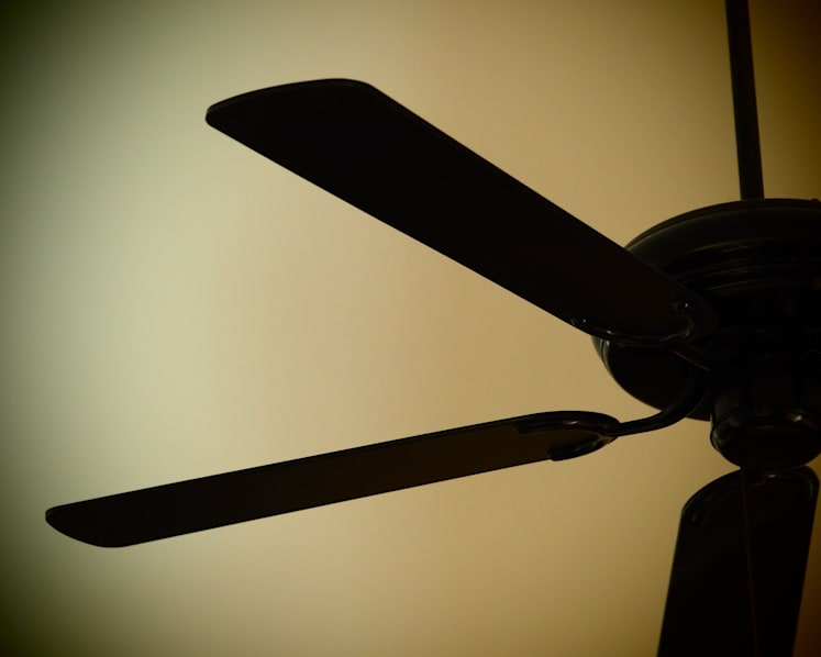 Authorities issue safety advisory on 17 models of Elmark ceiling fans, products being recalled
