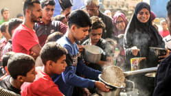 Related article image