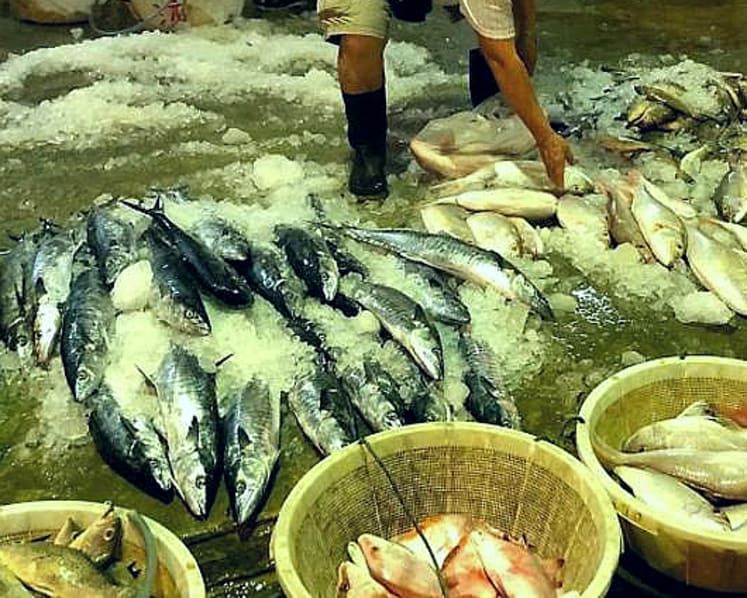 Jurong Fishery Port workers mingling and not wearing masks believed to have caused Covid-19 outbreak