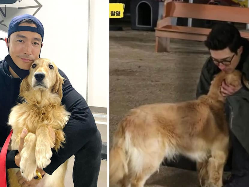 Daniel Henney Met This Ex-Breeding Dog In Korea, Brought Her Back To The US To Foster Her &mdash;  And Now He&rsquo;s Found Her A Forever Home