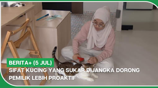BERITA+ (5 Jul) | Sifat kucing yang sukar dijangka dorong pemilik lebih proaktif