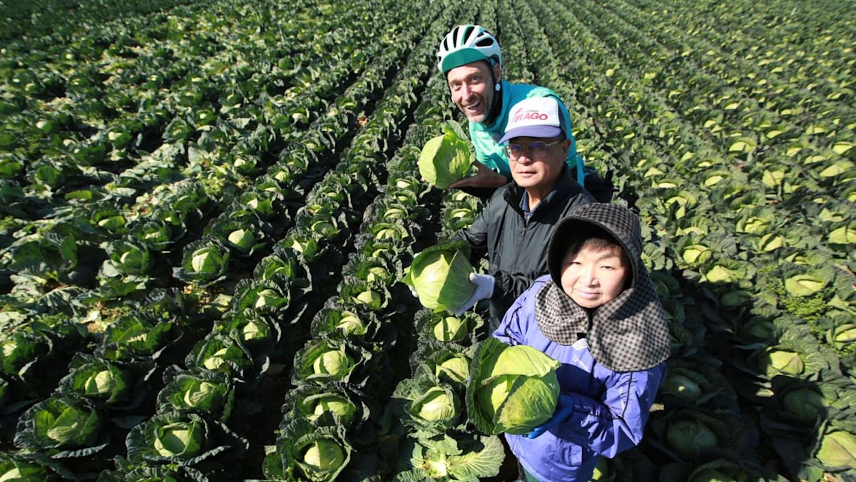 Cycle Around Japan - Aichi: Heartland of Japan’s Craft Traditions