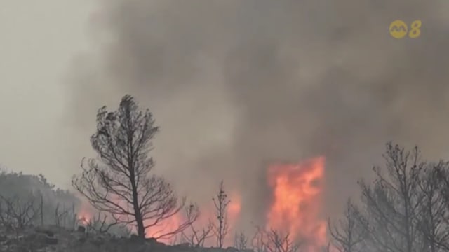 法国南部爆发近80年最大林火 酿1死13伤当中包括11名消防员
