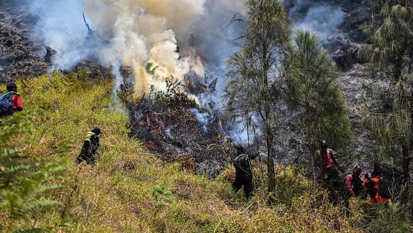 Indonesia battles Mount Bromo wildfire as El Nino takes root
