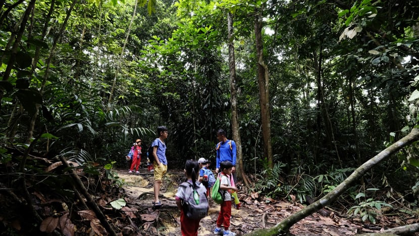 Outdoor educator, nature enthusiasts reach happy compromise over Rifle Range Nature Park