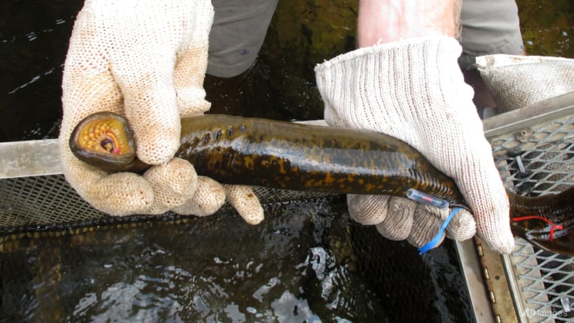 Atmospheric carbon might turn lakes more acidic: Scientists