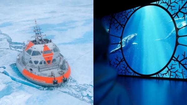 channelnewsasia.com - Baani Kaur - Science Centre Singapore to debut immersive ocean exhibition One Ocean: Every Action Ripples