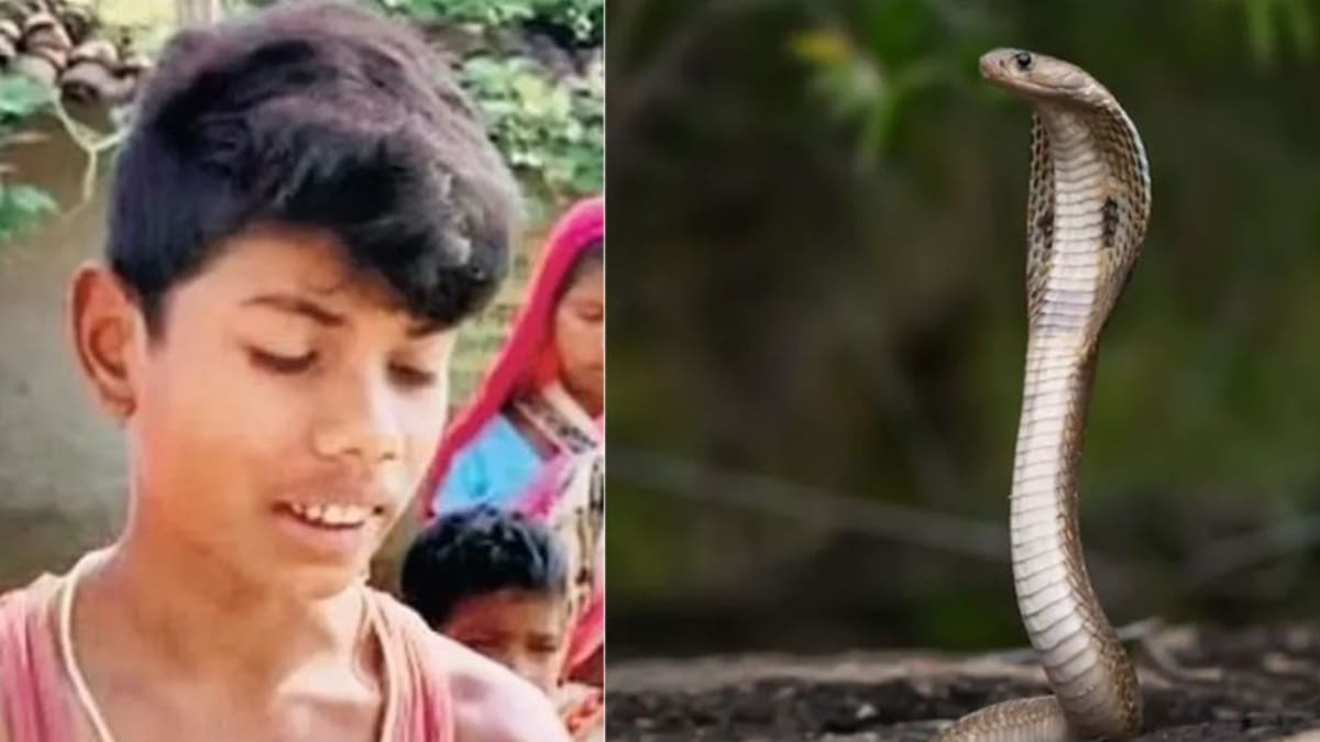 Makkenzi Pirs bilan porno