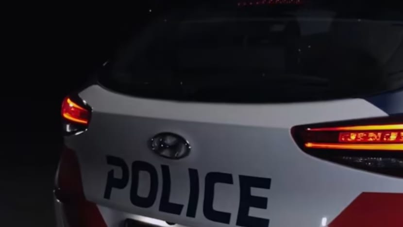 SPF siasat dakwaan diskriminasi kaum, buli di tempat kerja susuli kematian pegawai, kata Shanmugam