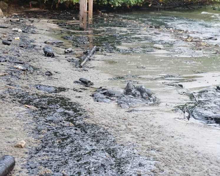 Malaysia’s Johor starts coastal clean-up following reported spread from Singapore oil spill