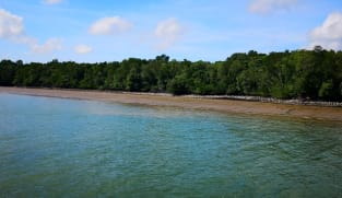 கடலோரப் பாதுகாப்புக்கு மானியம்