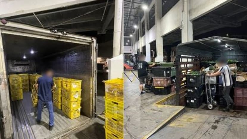 ICA, SFA rampas 280kg hasil tanaman diimport secara haram di Pusat Pemeriksaan Woodlands
