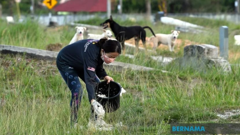 Kasih sayang suri rumah ini terhadap haiwan tiada batasan