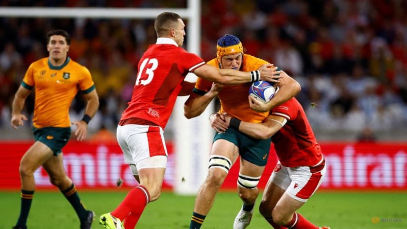 Wallaby Hooper named to face Lions for Brumbies