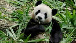 Related article image