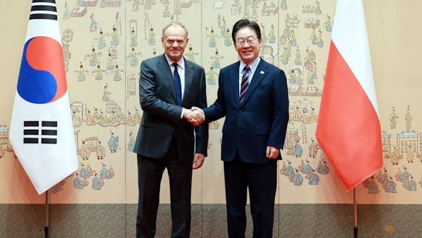 South Korea, Poland hail defence ties on Tusk visit