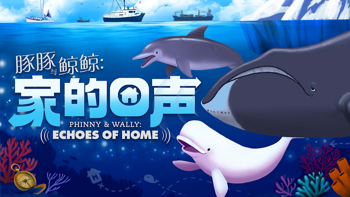 【社团活动预告】豚豚与鲸鲸：家的回声- 8world