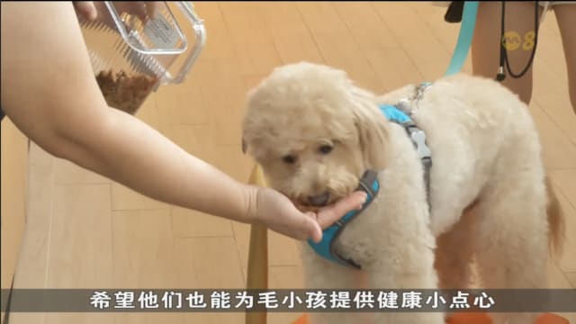 宠物点心风潮兴起 烘焙材料店顾客询问量增15%