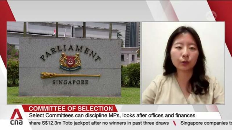 Parliament unveils nomination of members for its Select Committees 