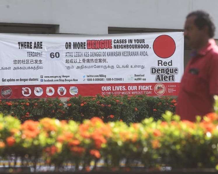 Tool kits to prevent mosquito breeding to be given to about 75,000 landed homes, as dengue cases remain high
