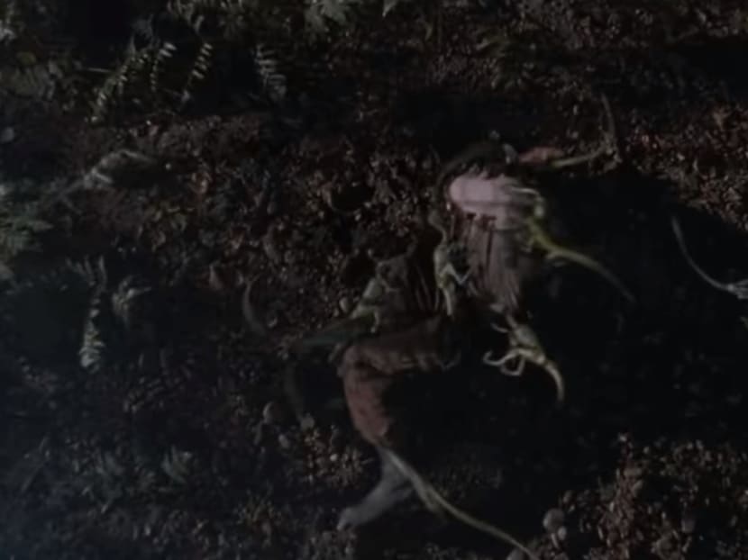 Ranking The Death-By-Dinos Scenes  In The 'Jurassic Park/World' Movies, From The Least To The Most Memorable