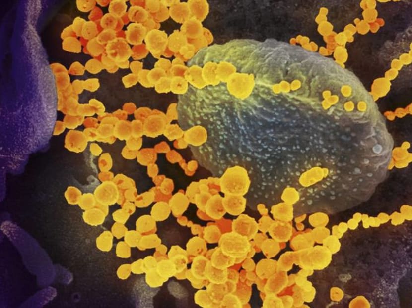 Commentary: Can we be cautiously optimistic about new Omicron XE variant?