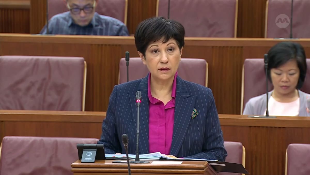 Indranee Rajah responds to clarifications sought on Bills to strengthen ...