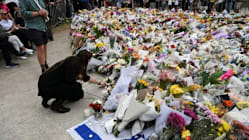 Related article image