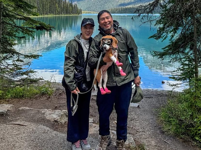 Singaporean couple quits jobs to travel 'full-time' with dog