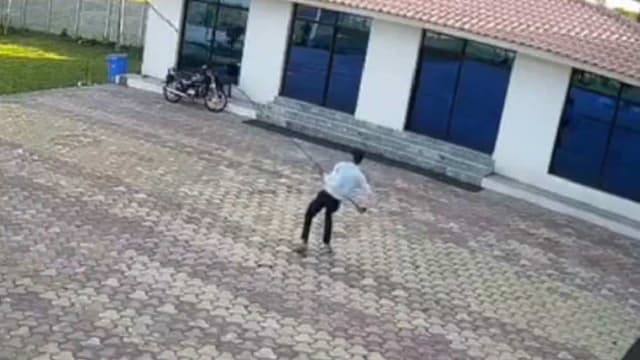 铁棒驱猴触高压电线 印度男子瞬间身亡