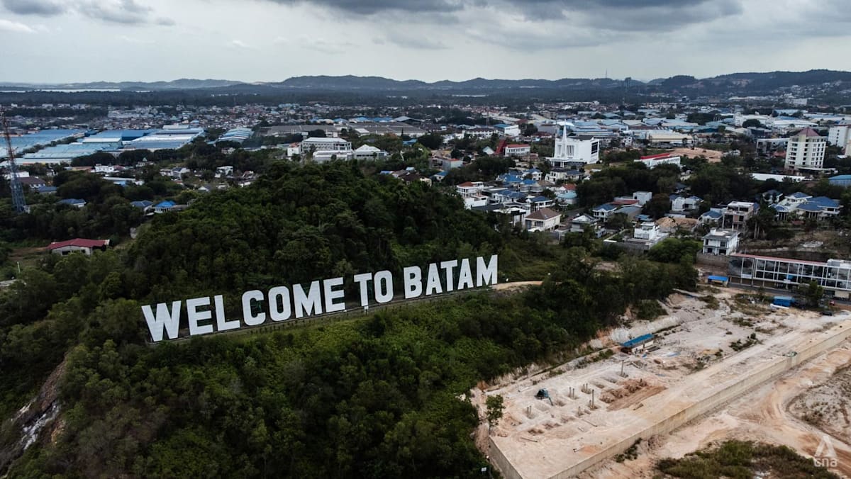 ‘Strategic transformation’: Can Batam city build up its digital economy to be a regional hub?