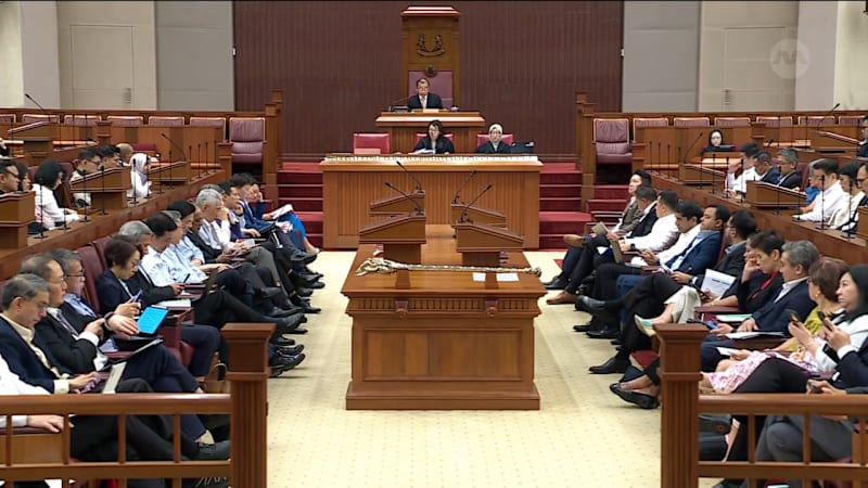 Tan See Leng, Zaqy Mohamad, Ong Ye Kung, Gan Siow Huang, Jeffrey Siow, Gan Kim Yong and Murali Pillai respond to clarifications sought on support in energy and trade 