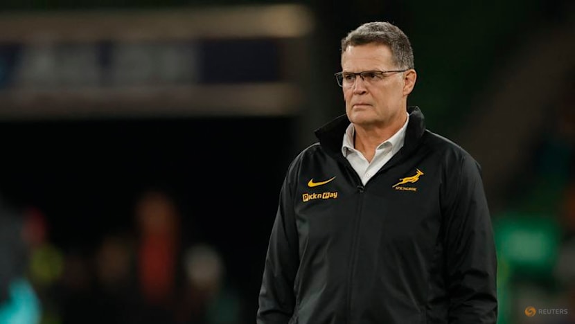 Erasmus pleased to get Irish monkey off South Africa's back