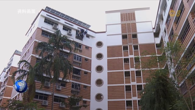 狮城有约 | 匹克球噪音惹阿婆丢蛋 邻里如何求“静”？