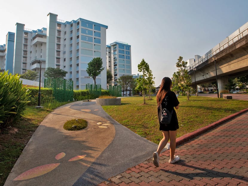 Housing and renovation costs were the biggest worry among youths when it comes to cost of living, among a list of five items including groceries, healthcare, utilities and eating out.