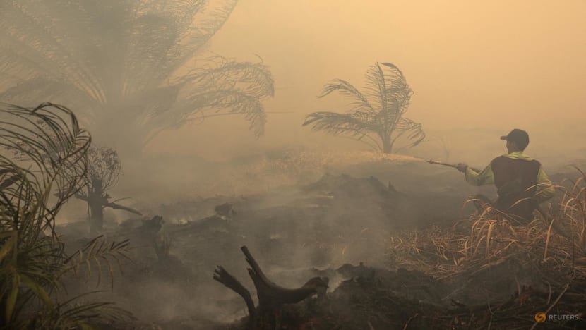 Sembilan taman nasional ditutup sementara akibat kebakaran hutan