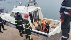 Related article image