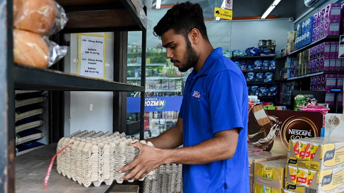 Malaysia will import eggs from overseas to alleviate local shortage ...