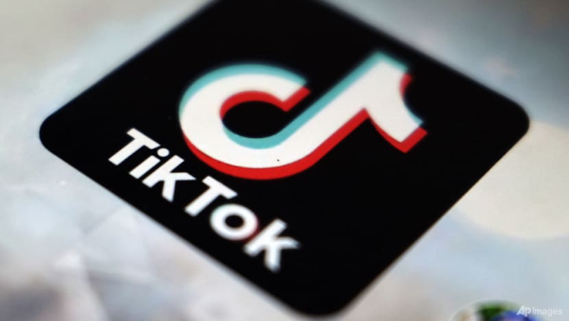 TikTok videos by Malaysia election candidates add colour to campaigning TikTok videos by Malaysia election candidates add colour to campaigning